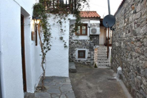 Kactro House